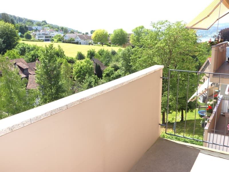 Erstvermietung nach Totalsanierung - grosszügige 2.0 Zi.-Wohnungen mit Balkon (8)