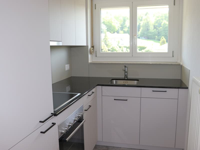 Erstvermietung nach Totalsanierung - grosszügige 2.0 Zi.-Wohnungen mit Balkon (2)