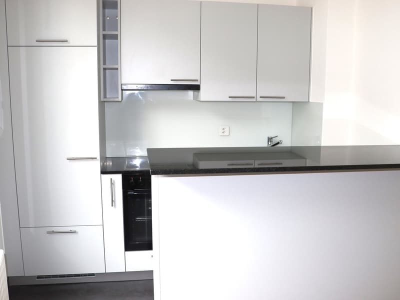sehr ansprechende, geräumige 1.5 Zi.-Wohnung (1)