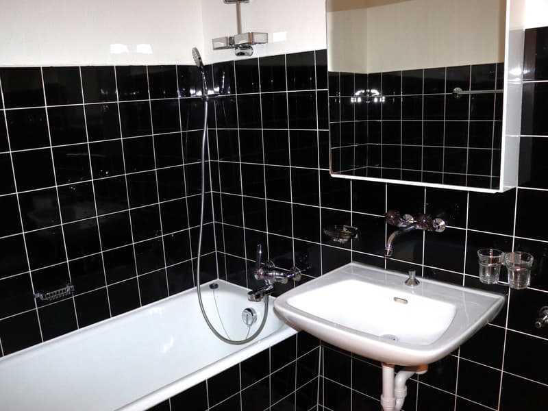 sehr ansprechende, geräumige 1.5 Zi.-Wohnung (4)
