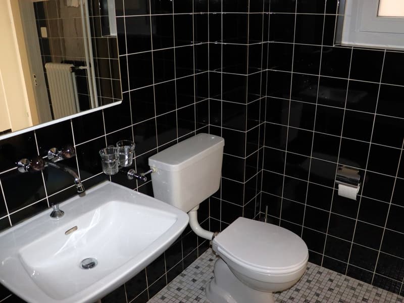sehr ansprechende, geräumige 1.5 Zi.-Wohnung (5)