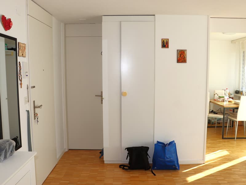 neu renovierte 1.5 Zi.-Wohnung an TOP-Lage (4)