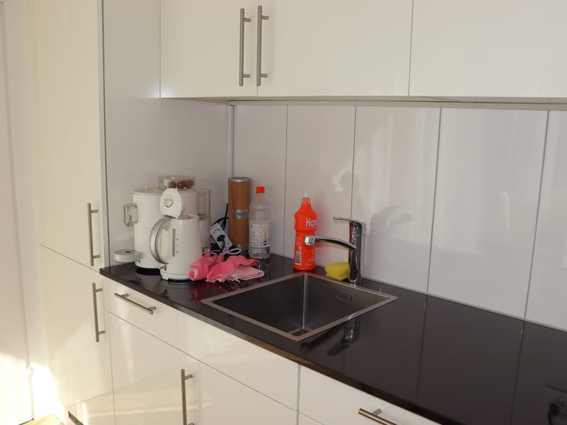 neu renovierte 1.5 Zi.-Wohnung an TOP-Lage (6)