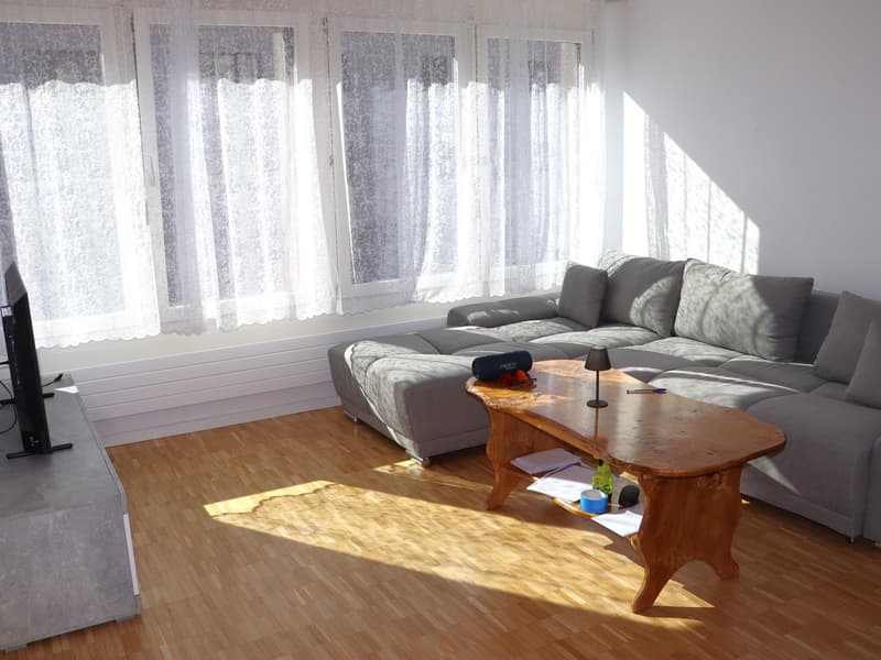 neu renovierte 1.5 Zi.-Wohnung an TOP-Lage (2)