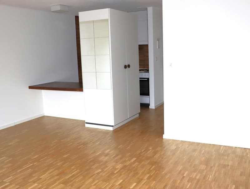 gemütliche 1.0 Zi.-Wohnung an bester Lage (2)