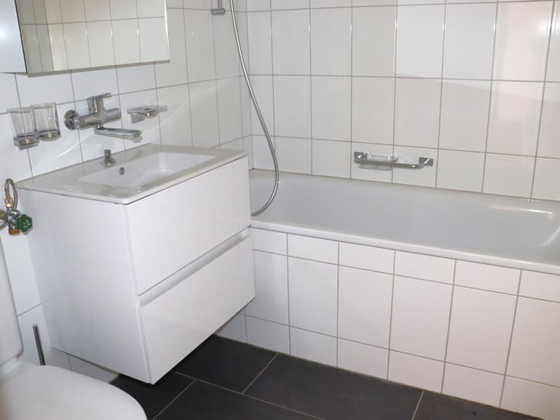 neu renovierte 3.5 Zi.-Wohnung mit Terrasse und Balkon (4)