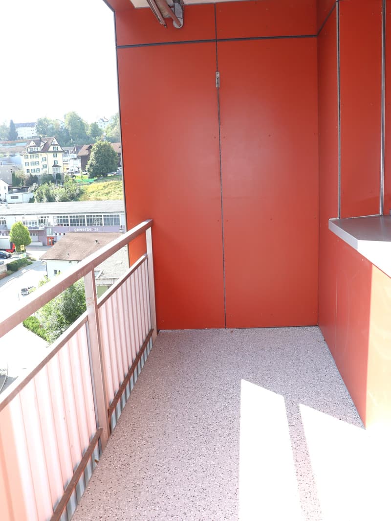 neu renovierte 3.5 Zi.-Wohnung mit Terrasse und Balkon (11)