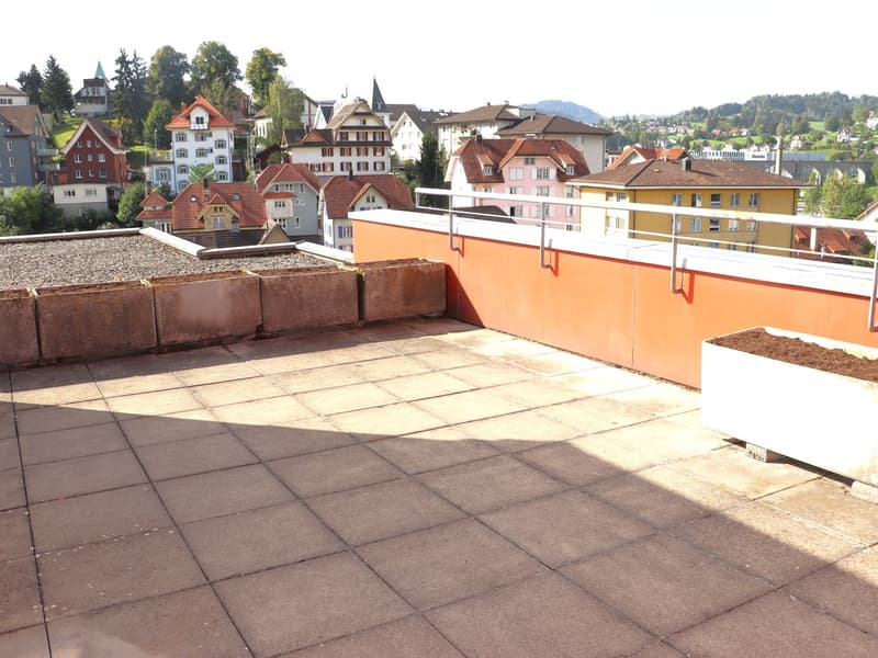 neu renovierte 3.5 Zi.-Wohnung mit Terrasse und Balkon (10)