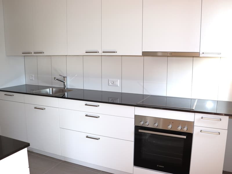 neu renovierte 3.5 Zi.-Wohnung mit Terrasse und Balkon (1)