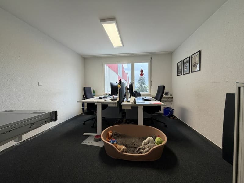 ATTRACTIVE SPACES (6)