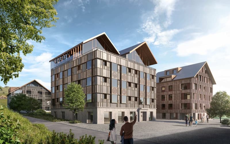 FIRST-CLASS HIDE-AWAY IM APPENZELLER HUUS (7)