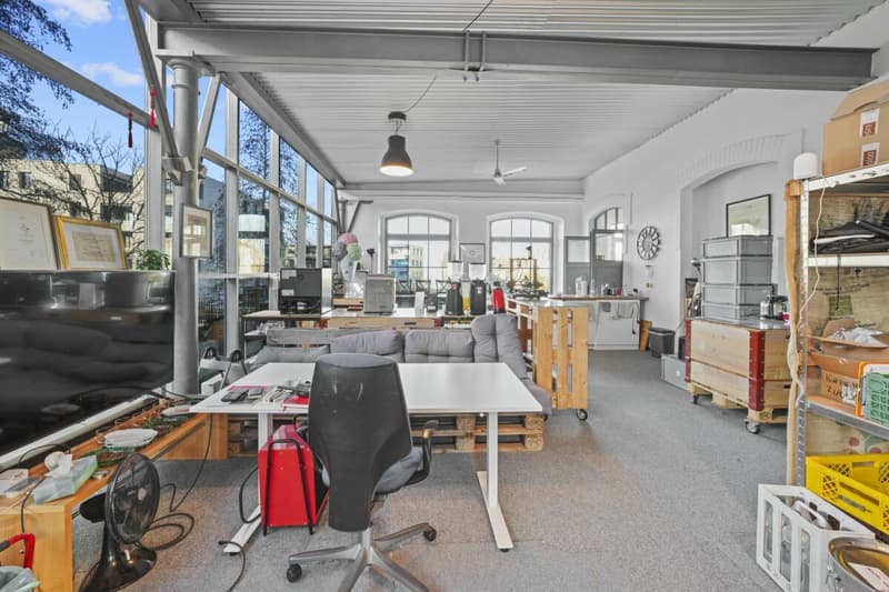 Unique, historic loft house with lake view and plenty of space to live and work (55)