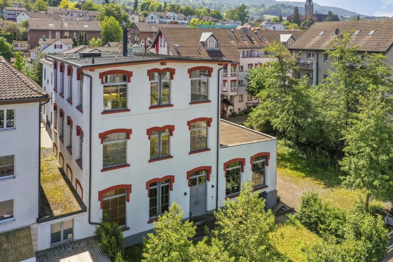 Unique, historic loft house with lake view and plenty of space to live and work (75)