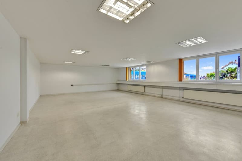 Stately residential and commercial building with two large apartments and versatile commercial space in a central location (8)