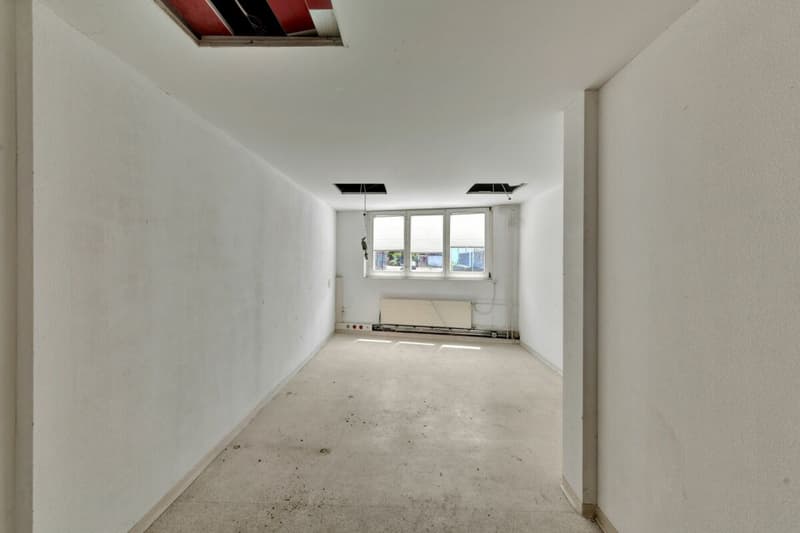 Stately residential and commercial building with two large apartments and versatile commercial space in a central location (52)