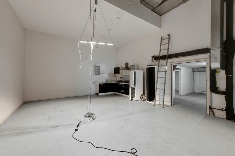Stately residential and commercial building with two large apartments and versatile commercial space in a central location (48)