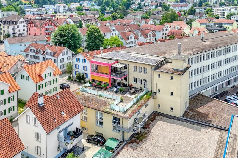 Stately residential and commercial building with two large apartments and versatile commercial space in a central location (63)