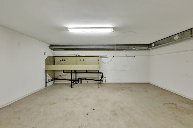 Stately residential and commercial building with two large apartments and versatile commercial space in a central location (50)