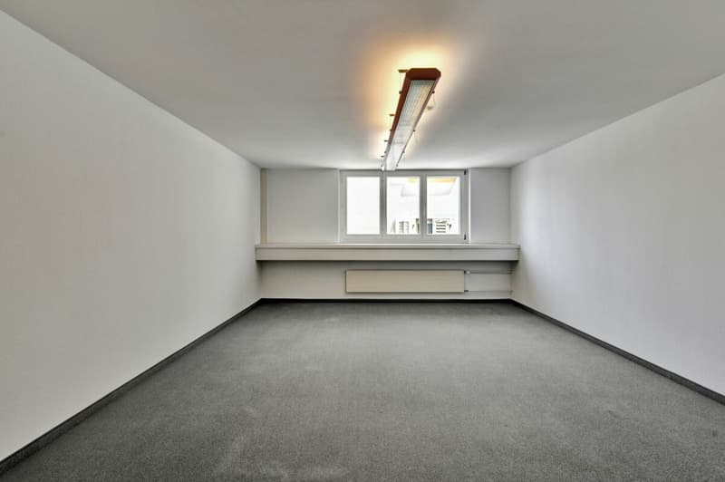 Stately residential and commercial building with two large apartments and versatile commercial space in a central location (39)