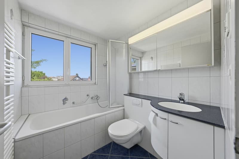 Charming semi-detached house with winter garden and garage in a dream location (13)