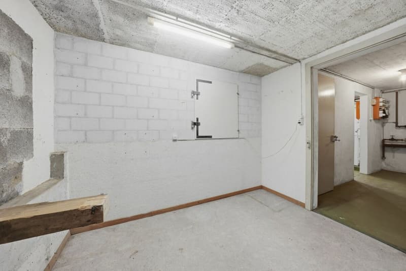 Charming semi-detached house with winter garden and garage in a dream location (31)