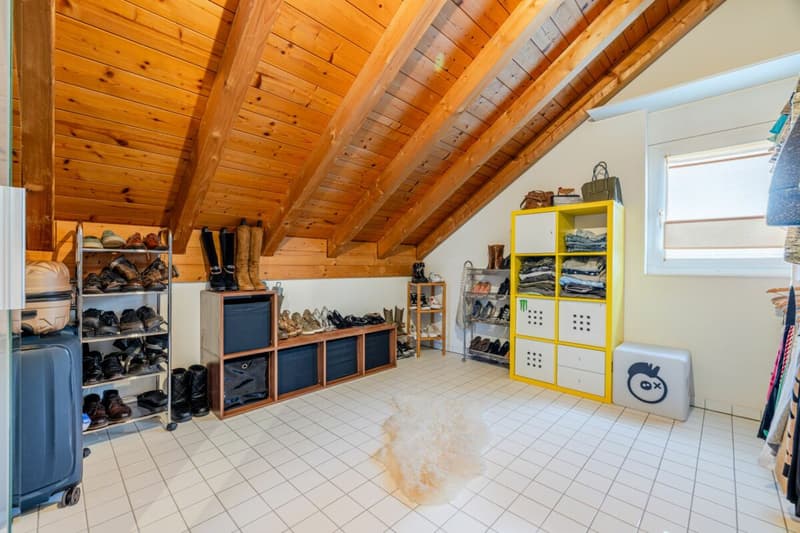 Representative and unique villa in top residential location with attractive lake view and separate apartment (44)
