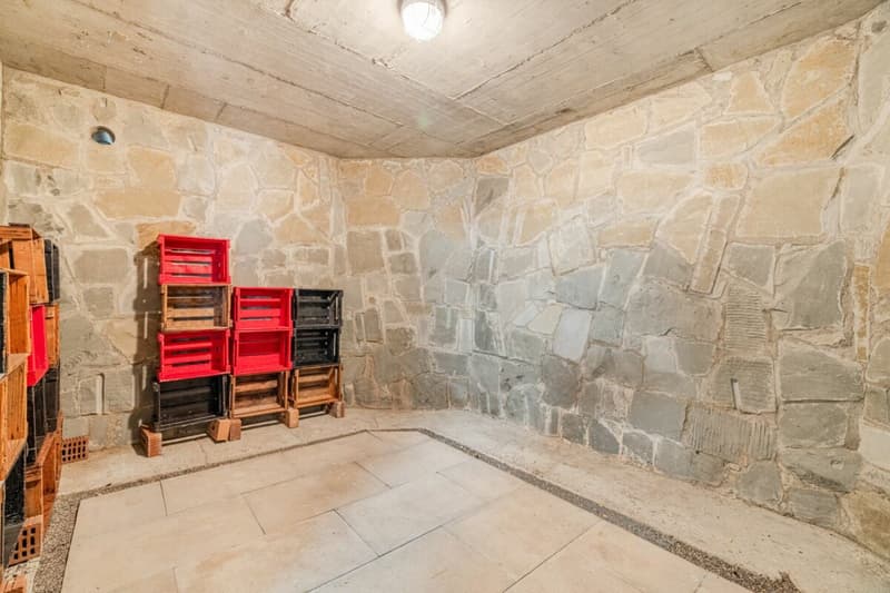Representative and unique villa in top residential location with attractive lake view and separate apartment (55)