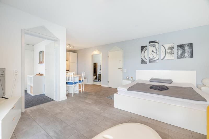 Representative and unique villa in top residential location with attractive lake view and separate apartment (48)