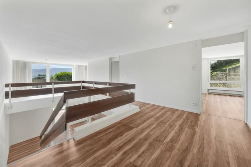 Wohnen wie im Einfamilienhaus! Riesige, gepflegte Maisonette-Wohnung mit Alpsteinpanorama und Schwimmbad (4)
