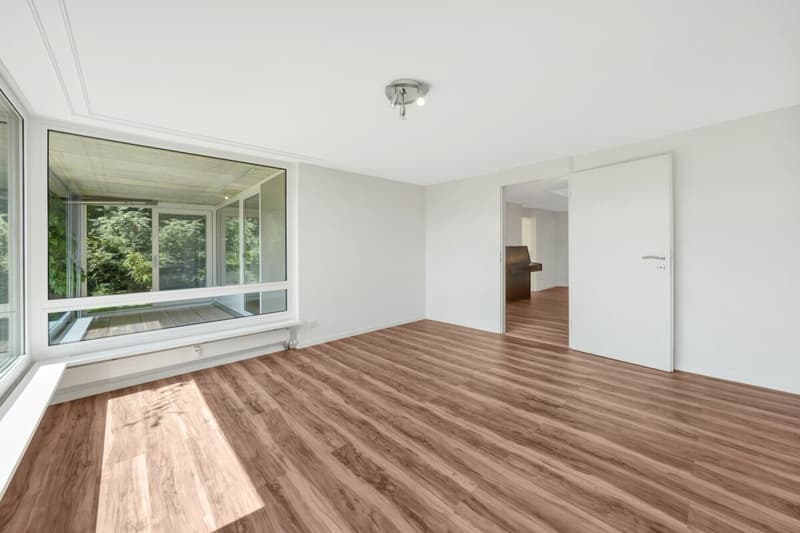 Wohnen wie im Einfamilienhaus! Riesige, gepflegte Maisonette-Wohnung mit Alpsteinpanorama und Schwimmbad (33)