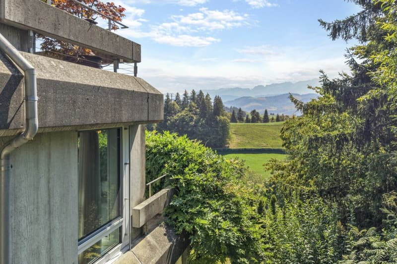 Wohnen wie im Einfamilienhaus! Riesige, gepflegte Maisonette-Wohnung mit Alpsteinpanorama und Schwimmbad (63)