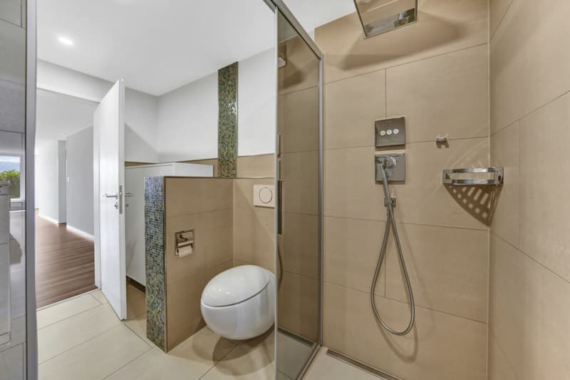 Wohnen wie im Einfamilienhaus! Riesige, gepflegte Maisonette-Wohnung mit Alpsteinpanorama und Schwimmbad (27)