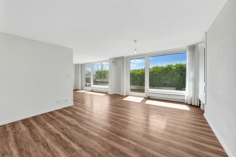 Wohnen wie im Einfamilienhaus! Riesige, gepflegte Maisonette-Wohnung mit Alpsteinpanorama und Schwimmbad (11)