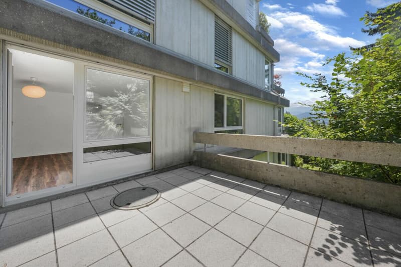 Wohnen wie im Einfamilienhaus! Riesige, gepflegte Maisonette-Wohnung mit Alpsteinpanorama und Schwimmbad (14)