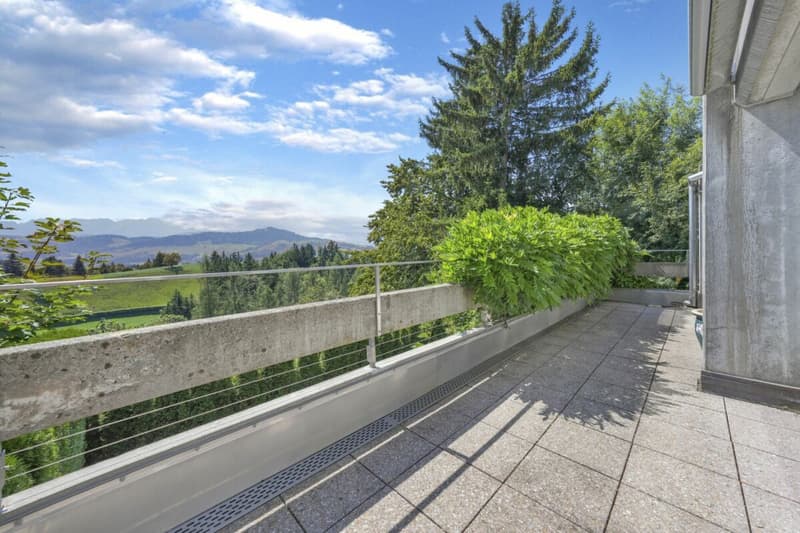 Wohnen wie im Einfamilienhaus! Riesige, gepflegte Maisonette-Wohnung mit Alpsteinpanorama und Schwimmbad (9)