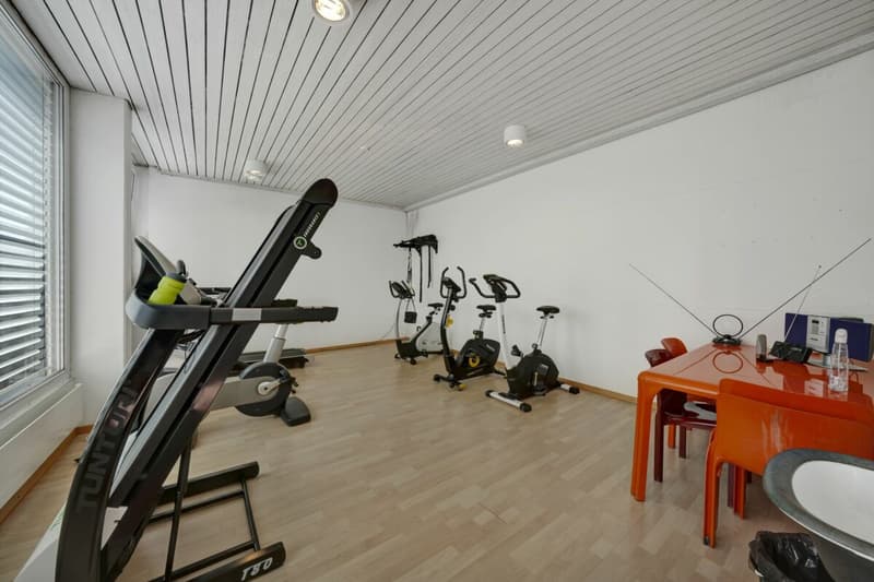 Wohnen wie im Einfamilienhaus! Riesige, gepflegte Maisonette-Wohnung mit Alpsteinpanorama und Schwimmbad (50)
