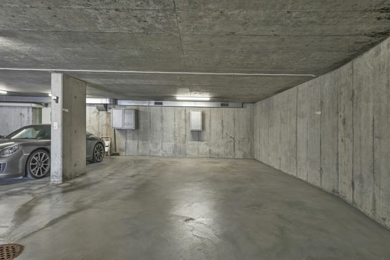 Wohnen wie im Einfamilienhaus! Riesige, gepflegte Maisonette-Wohnung mit Alpsteinpanorama und Schwimmbad (43)