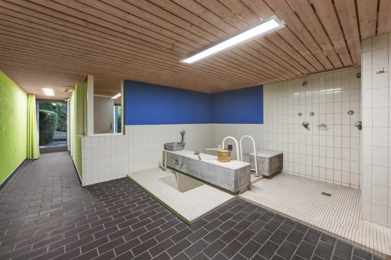 Wohnen wie im Einfamilienhaus! Riesige, gepflegte Maisonette-Wohnung mit Alpsteinpanorama und Schwimmbad (51)