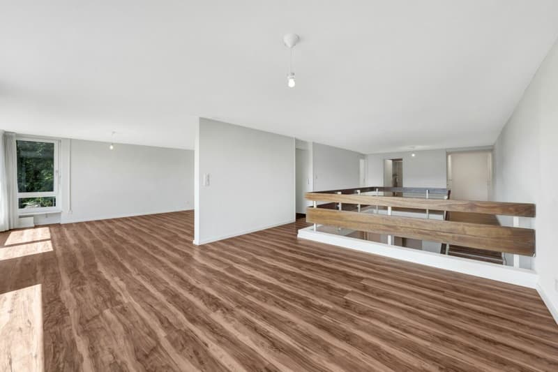 Wohnen wie im Einfamilienhaus! Riesige, gepflegte Maisonette-Wohnung mit Alpsteinpanorama und Schwimmbad (19)