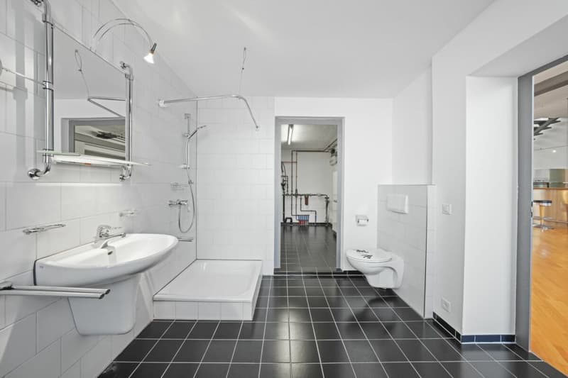 Einzigartiges, historisches Loft-Haus mit Seesicht und viel Raum zum Wohnen und Arbeiten (50)