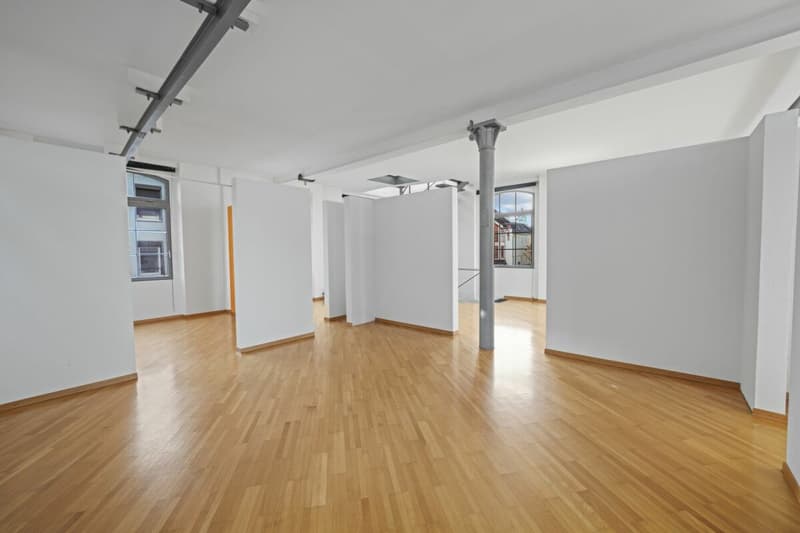 Einzigartiges, historisches Loft-Haus mit Seesicht und viel Raum zum Wohnen und Arbeiten (30)