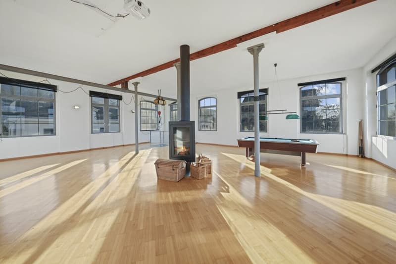 Einzigartiges, historisches Loft-Haus mit Seesicht und viel Raum zum Wohnen und Arbeiten (45)