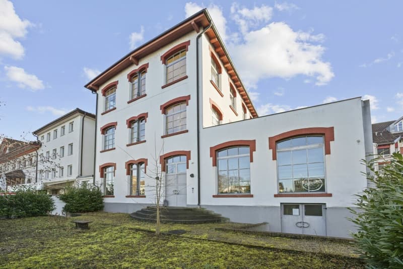 Einzigartiges, historisches Loft-Haus mit Seesicht und viel Raum zum Wohnen und Arbeiten (66)