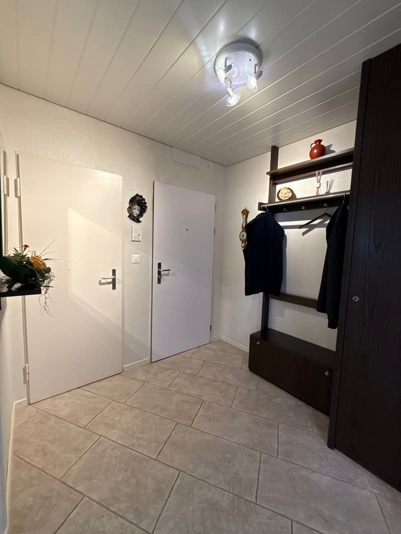 Charming 4-room apartment with balcony and garden area in Rapperswil-Jona (11)