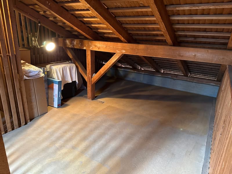 Charming 4-room apartment with balcony and garden area in Rapperswil-Jona (16)