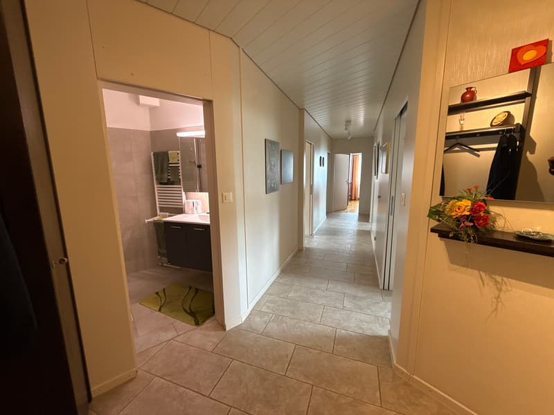 Charming 4-room apartment with balcony and garden area in Rapperswil-Jona (9)