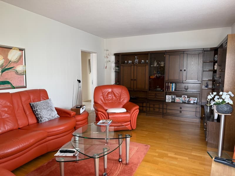 Charming 4-room apartment with balcony and garden area in Rapperswil-Jona (4)