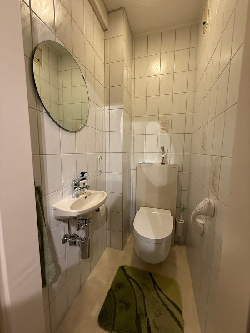 Charming 4-room apartment with balcony and garden area in Rapperswil-Jona (8)