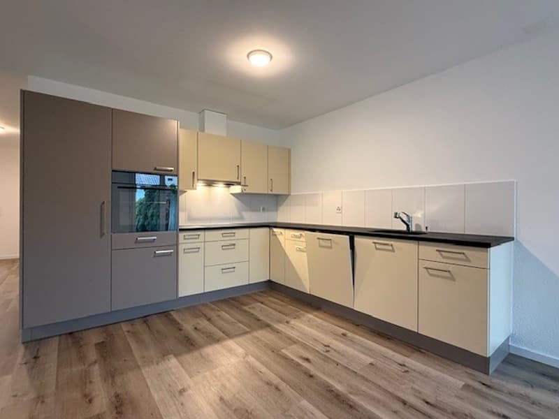 Modern 5.5-room apartment with garden seating in Lenggis (3)