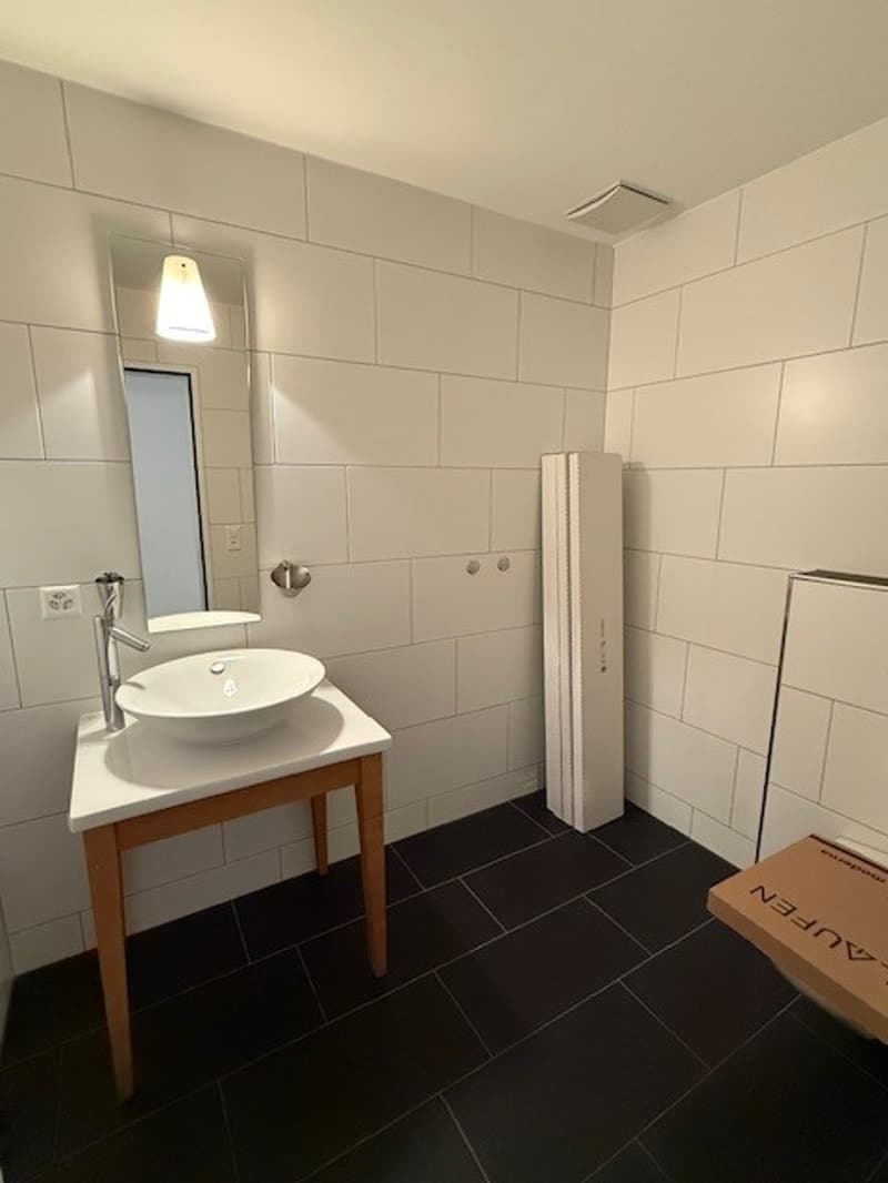 Modern 5.5-room apartment with garden seating in Lenggis (7)